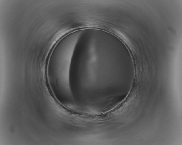X0000113931291200909251211