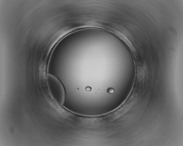 X0000113931292200909251211
