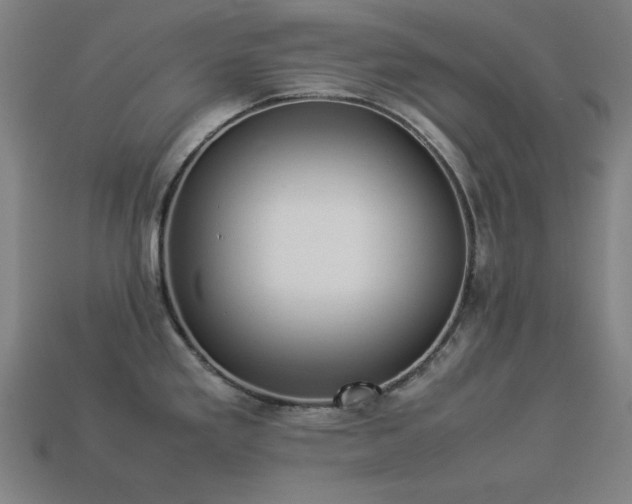 X0000113931293200909251211