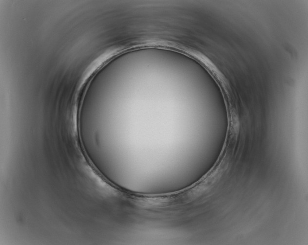 X0000113931294200909251211
