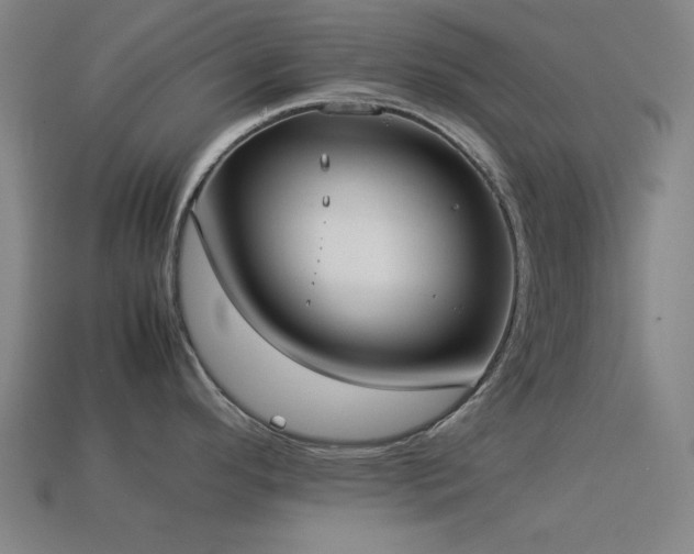 X0000113931296200909251211