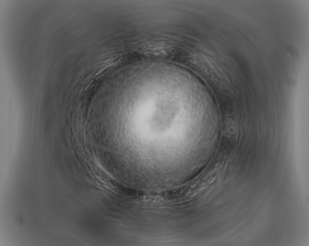 X0000113931297200909251211