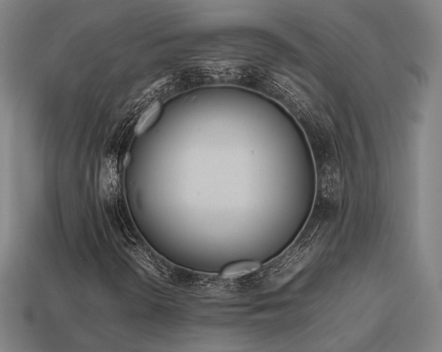 X0000113931298200909251211