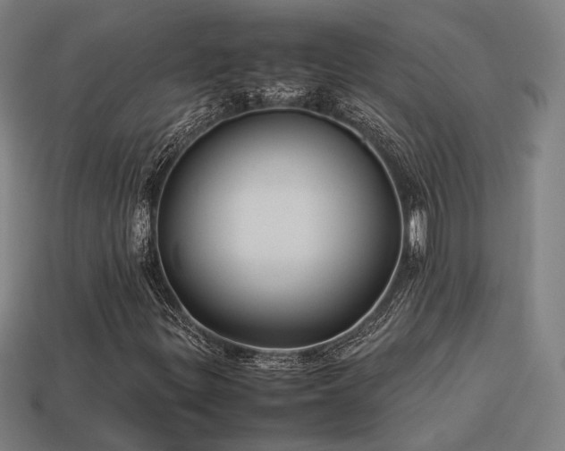 X0000113931299200909251211