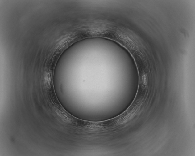 X0000113931300200909251211