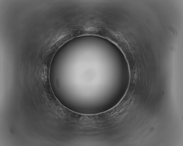 X0000113931301200909251211