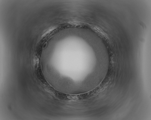 X0000113931302200909251211