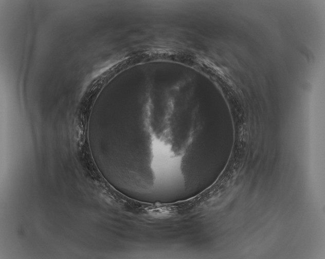 X0000113931303200909251211