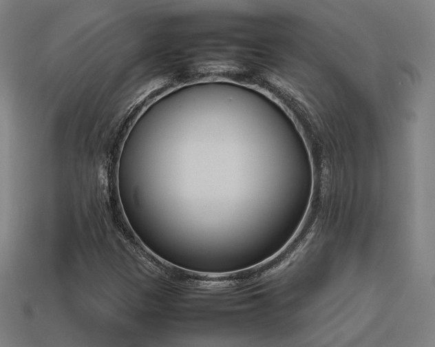 X0000113931305200909251211