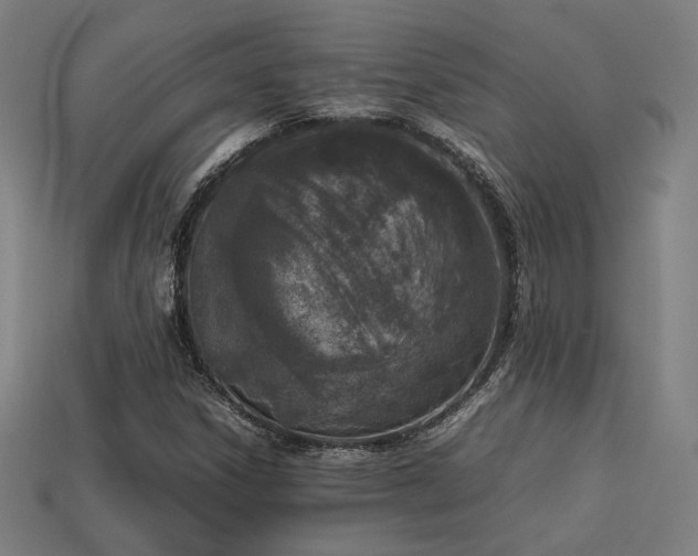 X0000113931306200909251211