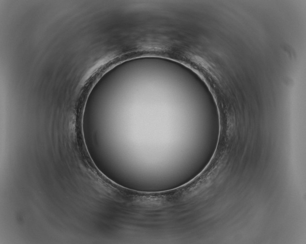 X0000113931307200909251211