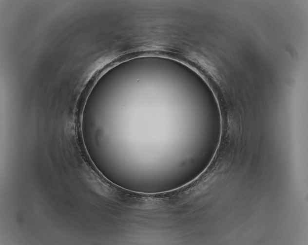 X0000113931308200909251211