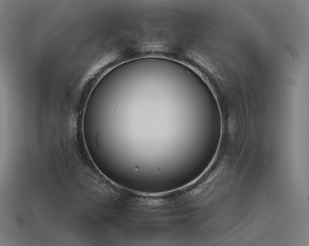 X0000113931309200909251211