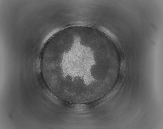 X0000113931310200909251211