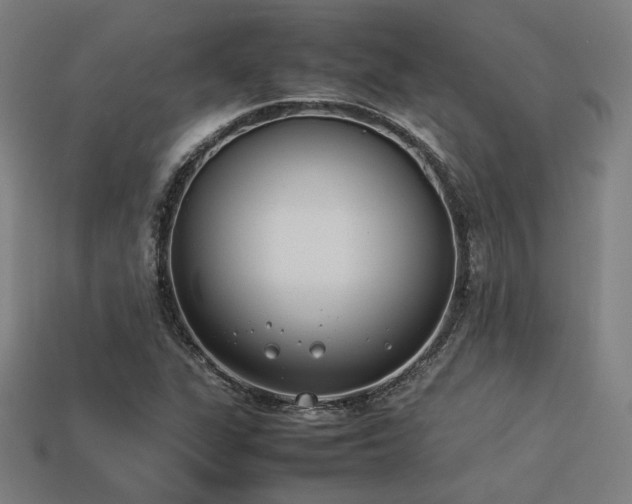 X0000113931311200909251211