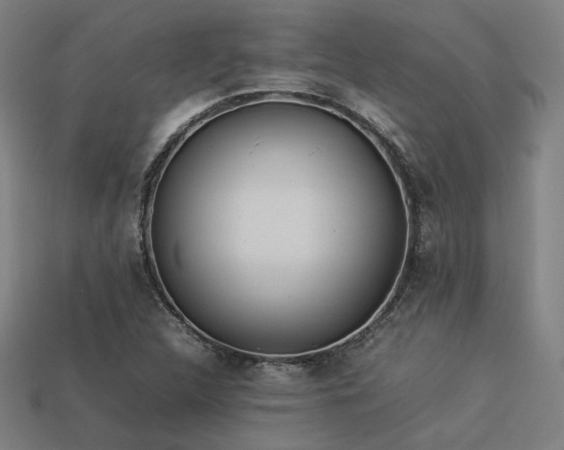 X0000113931312200909251211