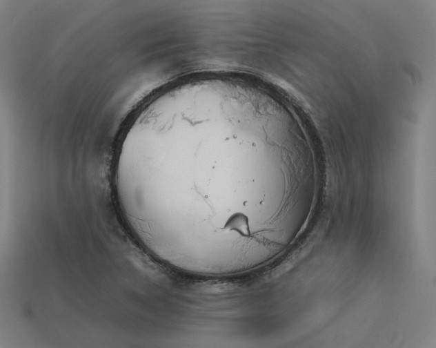 X0000113931314200909251211