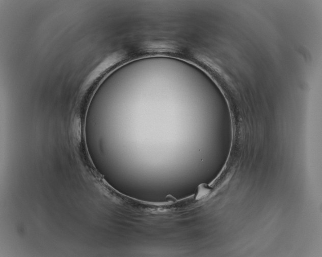 X0000113931317200909251211