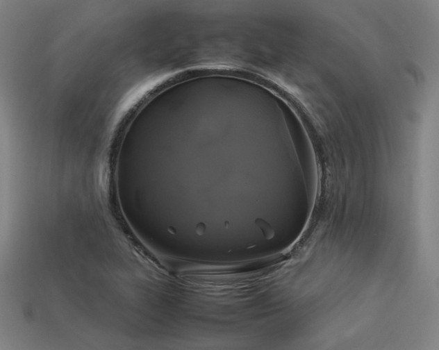 X0000113931319200909251211