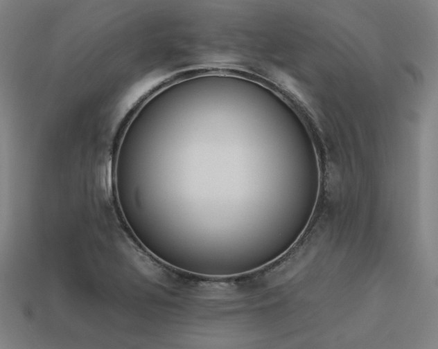 X0000113931320200909251211
