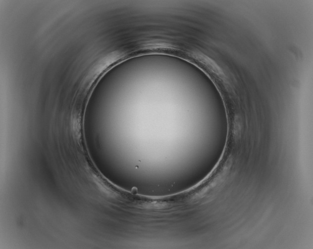 X0000113931321200909251211