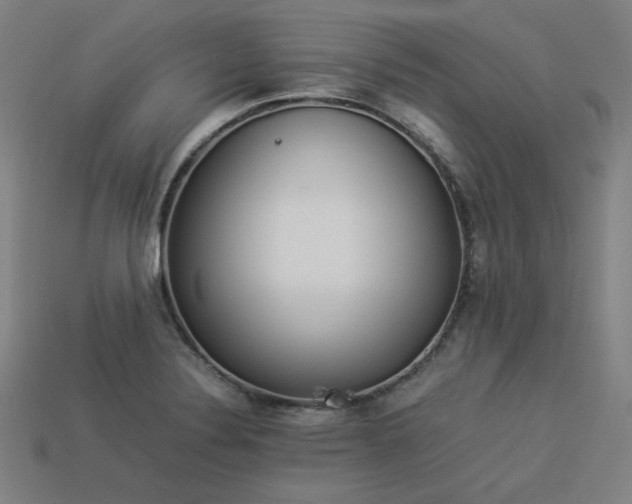 X0000113931324200909251211