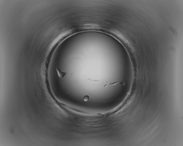 X0000113931325200909251211