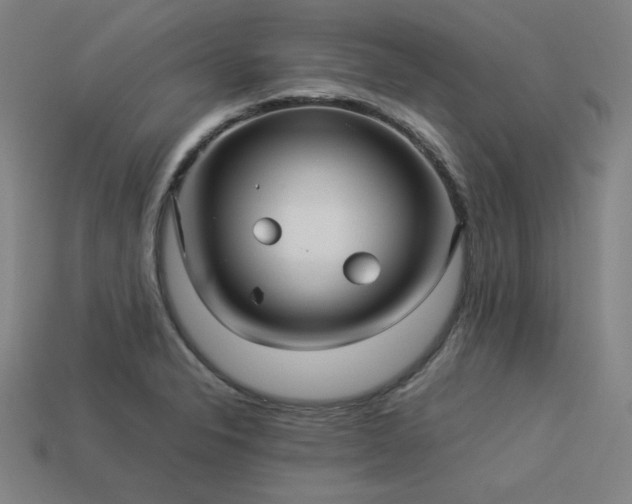 X0000113931326200909251211