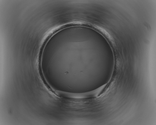 X0000113931327200909251211