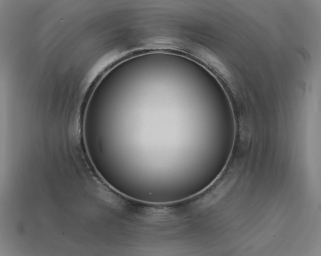X0000113931328200909251211