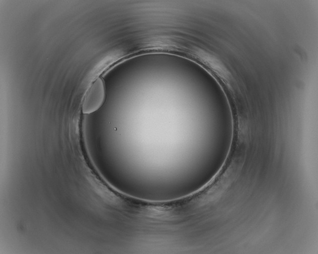 X0000113931330200909251211