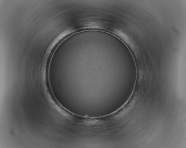 X0000113931331200909251211