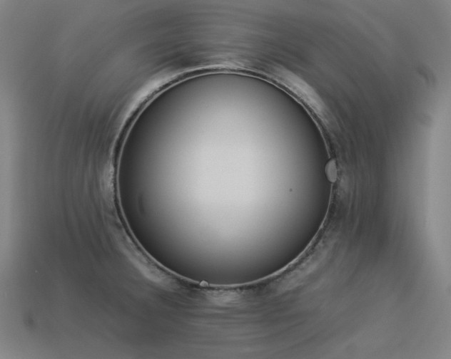 X0000113931332200909251211