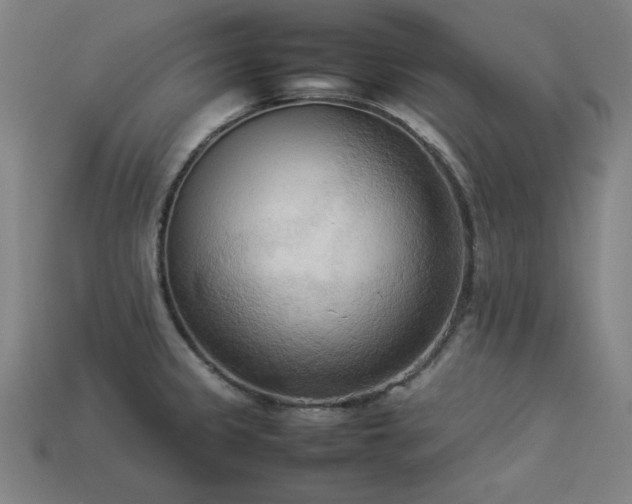 X0000113931333200909251211