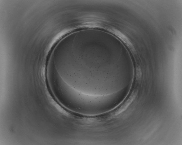 X0000113931334200909251211