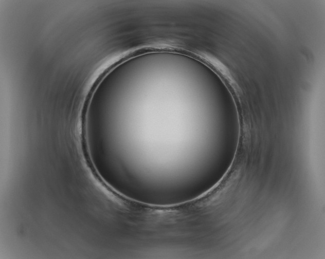 X0000113931335200909251211
