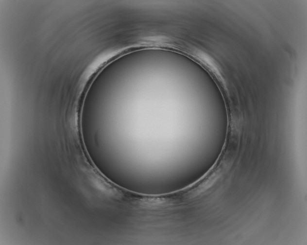 X0000113931336200909251211
