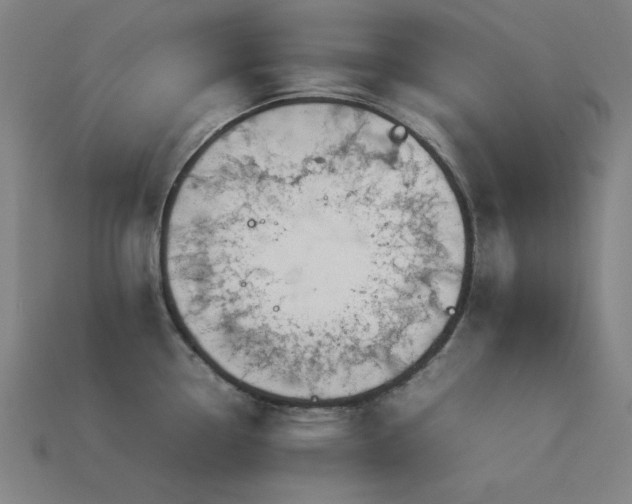 X0000113931338200909251211
