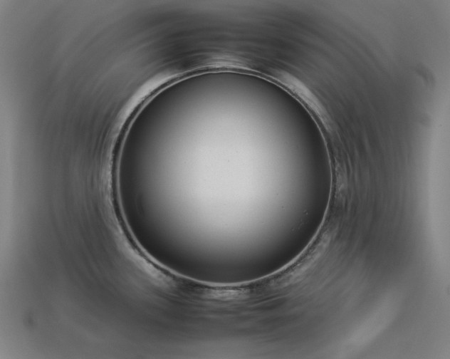 X0000113931339200909251211