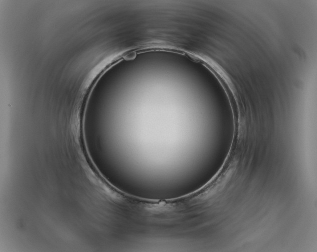 X0000113931341200909251211