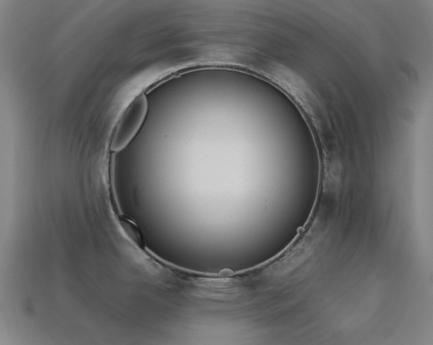 X0000113931342200909251211