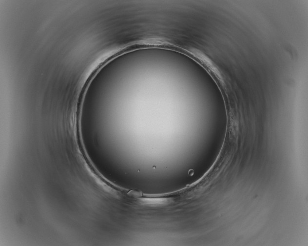 X0000113931343200909251211