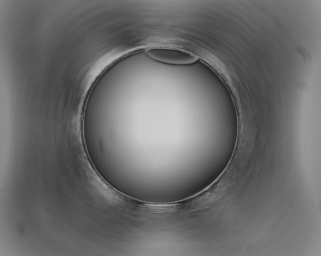 X0000113931344200909251211