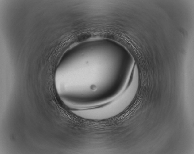 X0000113931345200909251211
