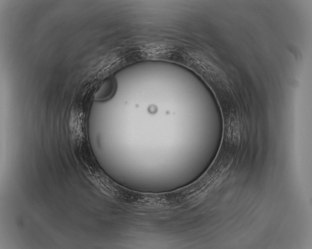 X0000113931346200909251211