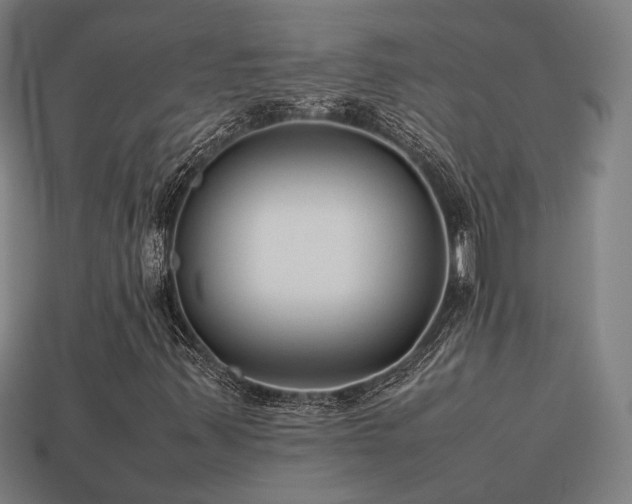 X0000113931347200909251211