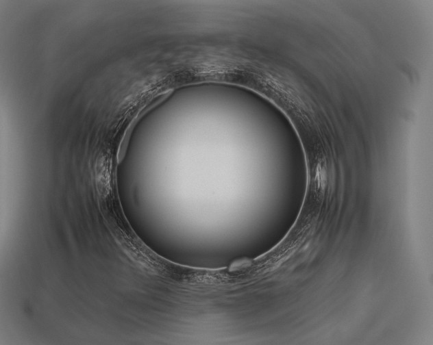 X0000113931348200909251211