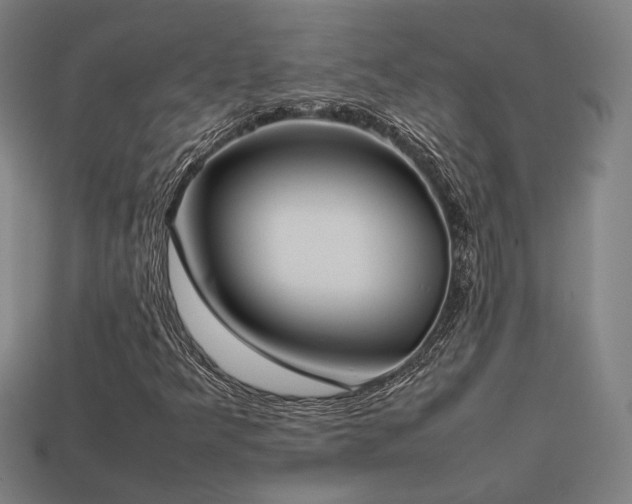 X0000113931349200909251211