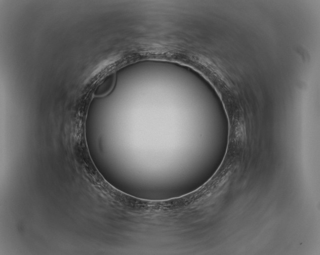 X0000113931350200909251211