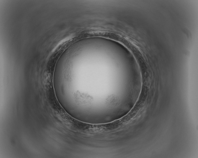 X0000113931351200909251211